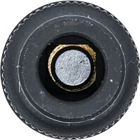 BGS 72104 Gewindebohrer-Aufnahme-Steckschlüssel-Einsatz | 10 mm (3/8") | 6,4 mm