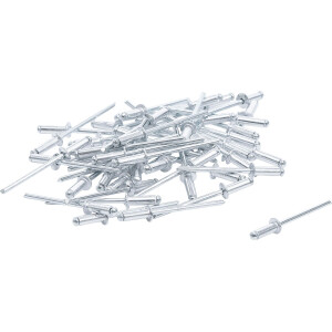 BGS Diy 75847 Blindnieten-Sortiment | Ø 3,2 mm |...
