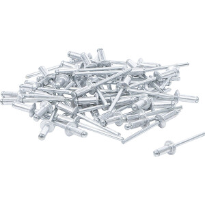 BGS Diy 75848 Blindnieten-Sortiment | Ø 4,0 mm |...