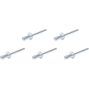 BGS Diy 75849 Blindnieten-Sortiment | Ø 4,8 mm |...
