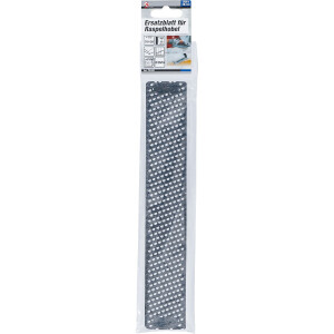 BGS Diy 76102 Ersatzblatt für Raspelhobel | 250 x 40 mm