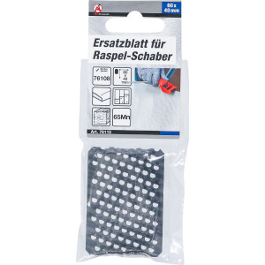 BGS Diy 76110 Ersatzblatt für Raspel-Schaber | 60 x 40 mm