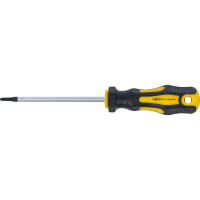 BGS Diy 7844-T15 Schraubendreher | T-Profil (für Torx) T15 | Klingenlänge 100 mm