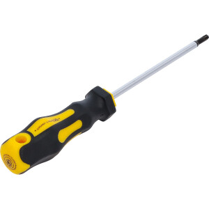 BGS Diy 7844-T20 Schraubendreher | T-Profil (für Torx) T20 | Klingenlänge 100 mm
