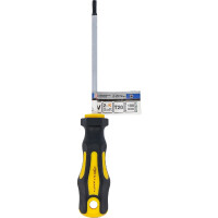 BGS Diy 7844-T20 Schraubendreher | T-Profil (für Torx) T20 | Klingenlänge 100 mm