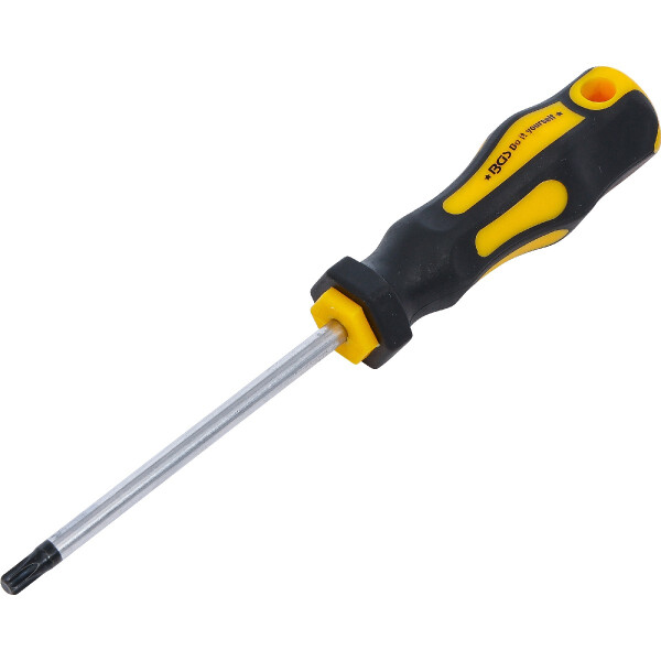 BGS Diy 7844-T30 Schraubendreher | T-Profil (für Torx) T30 | Klingenlänge 100 mm