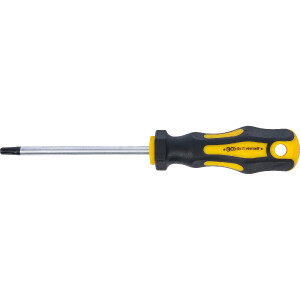 BGS Diy 7844-T30 Schraubendreher | T-Profil (für Torx) T30 | Klingenlänge 100 mm