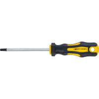 BGS Diy 7844-T30 Schraubendreher | T-Profil (für Torx) T30 | Klingenlänge 100 mm