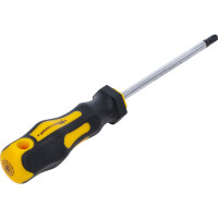 BGS Diy 7844-T30 Schraubendreher | T-Profil (für Torx) T30 | Klingenlänge 100 mm