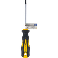 BGS Diy 7844-T30 Schraubendreher | T-Profil (für Torx) T30 | Klingenlänge 100 mm