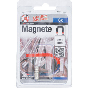 BGS Diy 79907 Magnet-Satz | extra stark | Ø 8 mm | 6-tlg.