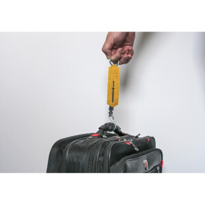 BGS Diy 8033 Taschenfederwaage | bis 25 kg