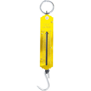 BGS Diy 8034 Taschenfederwaage | bis 50 kg