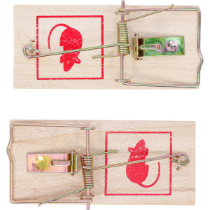 BGS Diy 80782 Mausefallen | 2-tlg.