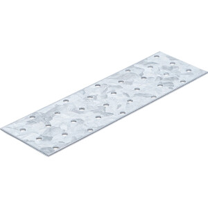 BGS Diy 80785 Stahl-Lochplatte | 200 x 60 x 2 mm