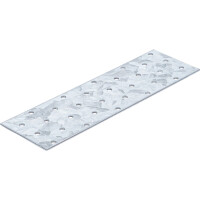 BGS Diy 80785 Stahl-Lochplatte | 200 x 60 x 2 mm