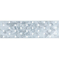 BGS Diy 80785 Stahl-Lochplatte | 200 x 60 x 2 mm