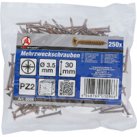 BGS Diy 80961 Mehrzweckschrauben | Kreuzschlitz PZ2 | 3,5 x 30 mm | 250 Stück