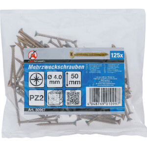 BGS Diy 80967 Mehrzweckschrauben | Kreuzschlitz PZ2 | 4,0...