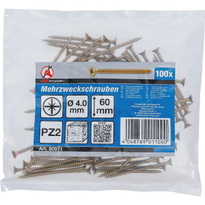 BGS Diy 80971 Mehrzweckschrauben | Kreuzschlitz PZ2 | 4,0...
