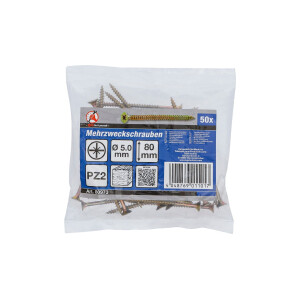 BGS Diy 80973 Mehrzweckschrauben | Kreuzschlitz PZ2 | 5,0...