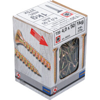 BGS Diy 88025 Mehrzweckschrauben | T-Profil ( für Torx) T20 | 4,0 x 50 mm | 1 kg / 375 Stück