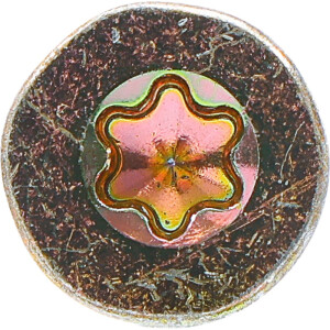 BGS Diy 88027 Mehrzweckschrauben | T-Profil ( für Torx) T20 | 4,0 x 60 mm | 1 kg / 240 Stück