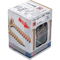 BGS Diy 88030 Mehrzweckschrauben | T-Profil ( für Torx) T25 | 5,0 x 100 mm | 1 kg / 120 Stück