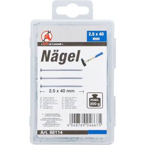 BGS Diy 88114 Nägel-Sortiment | 200 g | 2,5 x 40 mm