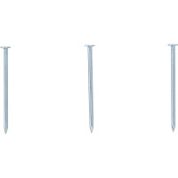 BGS Diy 88116 Nägel-Sortiment | 200 g | 2,5 x 50 mm