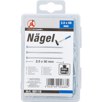 BGS Diy 88116 Nägel-Sortiment | 200 g | 2,5 x 50 mm