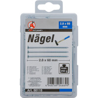 BGS Diy 88118 Nägel-Sortiment | 250 g | 2,8 x 60 mm