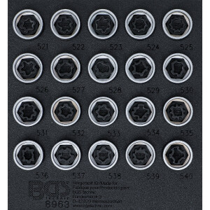 BGS 8963 Werkstattwageneinlage 1/6:...