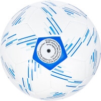 BGS 91020 BGS® Fußball
