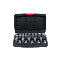 BGS Diy 95100 Bit-Einsatz-/Steckschlüssel-Satz | Antrieb Innensechskant 12,5 mm (1/2") | T-Profil (für Torx) / E-Profil | 19-tlg.
