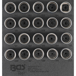 BGS 9557 Werkstattwageneinlage 1/6:...