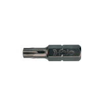 Felo Bit C 6,3 Industrie TORX PLUS® 10 IP x 25 00002310010