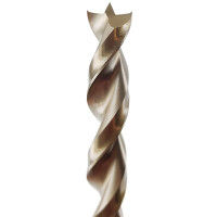 FAMAG 1594.035 Holzspiralbohrer HSS-G 3,5 mm m. Vorschn.