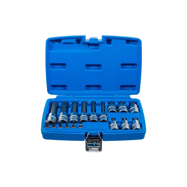 Bit-Einsatz-Satz | Antrieb Innenvierkant 6,3 mm (1/4") / 12,5 mm (1/2") | Innenvielzahn (für XZN) | 18-tlg.