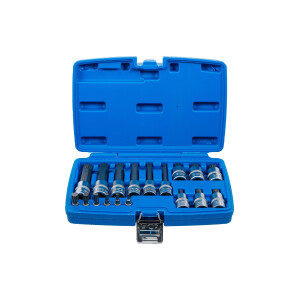Bit-Einsatz-Satz | Antrieb Innenvierkant 6,3 mm (1/4") / 12,5 mm (1/2") | Innenvielzahn (für XZN) | 18-tlg.