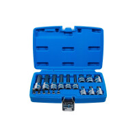 Bit-Einsatz-Satz | Antrieb Innenvierkant 6,3 mm (1/4") / 12,5 mm (1/2") | Innenvielzahn (für XZN) | 18-tlg.
