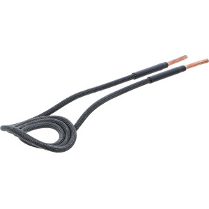 BGS 2169-10 Induktions-Spule für...