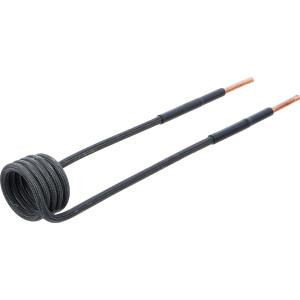 BGS 2169-6 Induktions-Spule für...
