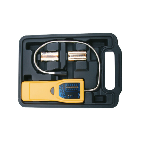 BGS 2198 Gasdetektor