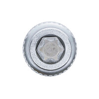 BGS 2547 Bit-Einsatz | Antrieb Innenvierkant 10 mm (3/8") | T-Profil (für Torx) T45