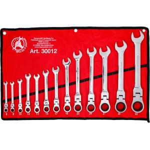 BGS Diy 30012 Ratschenring-Maulschlüssel-Satz |...