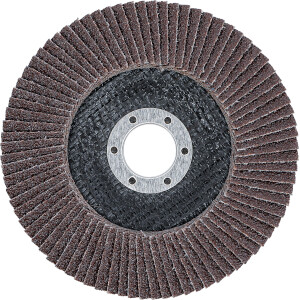 BGS 3974 Fächer-Schleif-Scheibe | Ø 125 mm |...