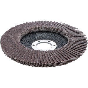 BGS 3974 Fächer-Schleif-Scheibe | Ø 125 mm |...