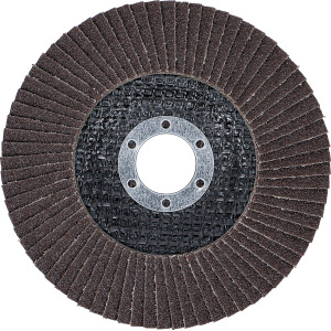 BGS 3976 Fächer-Schleif-Scheibe | Ø 125 mm |...