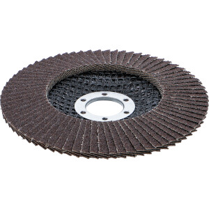 BGS 3976 Fächer-Schleif-Scheibe | Ø 125 mm |...